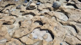 2024-03-Playa_Boca-Barranco--Jinamar-28.jpg